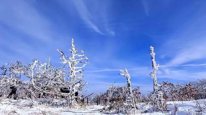 盘点全国最美10个赏雪地