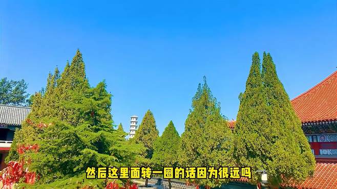 到蓬莱寻八仙过海，登长岛观海天一色（上）