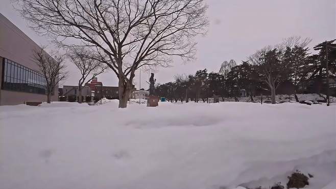 漫步冬日小城，欣赏绚烂的雪景，感受大自然的奇妙