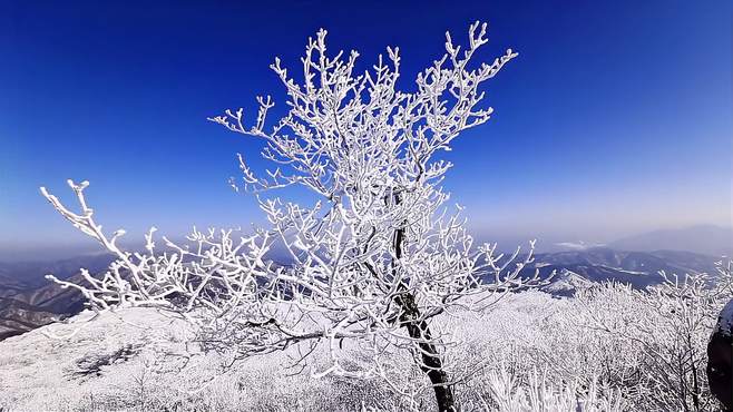 南方人的雪乡梦——云冰山等你来体验！