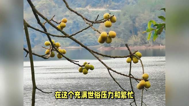 品味黑龙潭户外点滴