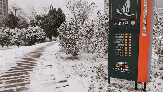 合肥匡河岸，雪日的静美