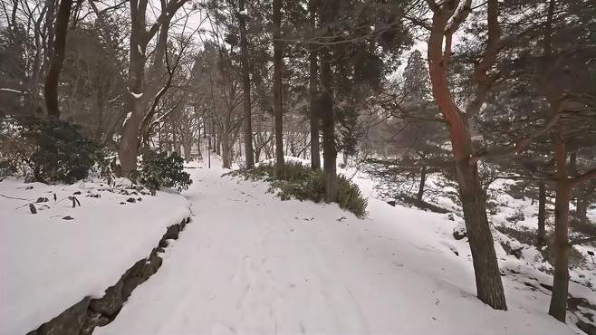 冬季小镇的惊奇之旅，雪中探索美景，每一步都值得期待