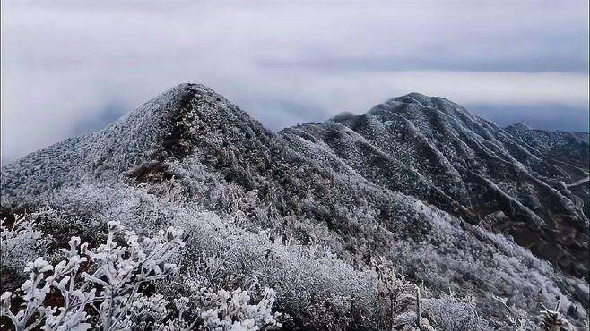 大高山万亩映山红景区雪景美如画