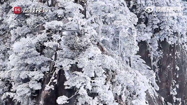 【宛若仙境！ 雪后黄山雾凇云海似琉璃仙境 】“处处直通琉璃界，分明身在水晶宫。”近日，安徽黄山迎来降雪，奇松怪石冰雕玉砌，漫山遍野玉树琼花。云海翻涌，天地间浑然