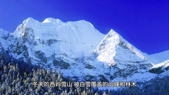 冬日神秘魅力！西岭雪山飘雪壮美，雪景之旅！