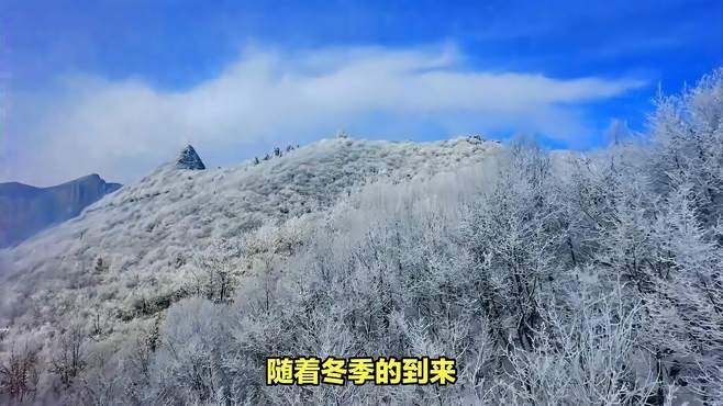 冬日山东，十大必去景点等你来探索