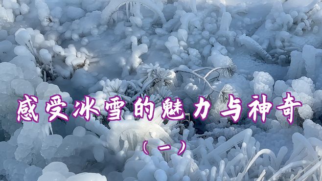 冬日仙境：感受冰雪美景的魅力与神奇