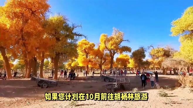 10月胡杨林旅游必备清单，10月去胡杨林旅游准备些啥子