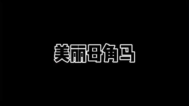 只要本可活着，就不会有人遭受苦难！