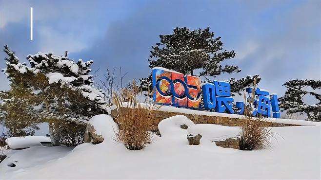 “晨起开门雪满山，雪晴云淡日光寒”威海暴雪后的喂海公园美景