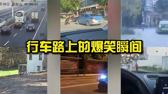 那些行车路上的爆笑瞬间，身正不怕轱辘歪，仙女行为你难猜