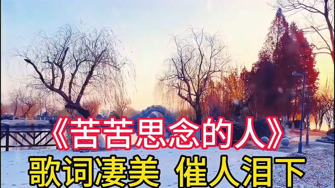 李英一首伤感情歌《苦苦思念的人》伤感落泪的句扎心旋律优美动听