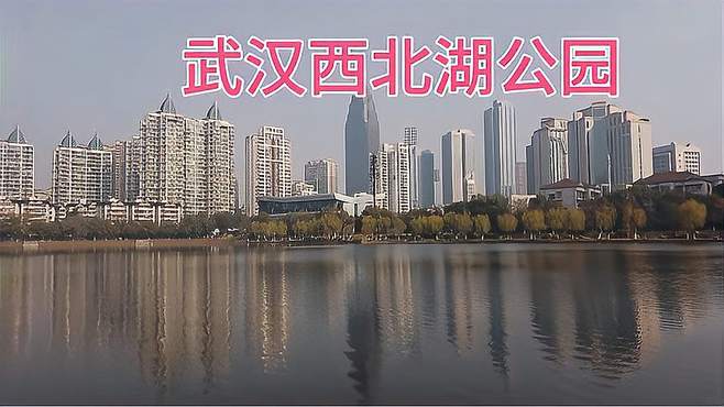 武汉西北湖公园，环境优美，树木葱郁，湖水清澈，风景秀丽