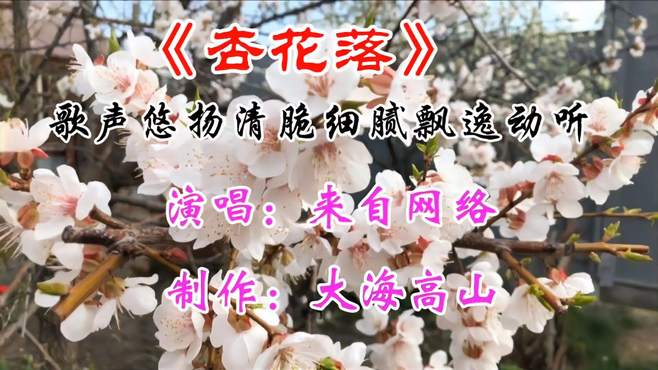 《杏花落》歌声悠扬清脆柔顺