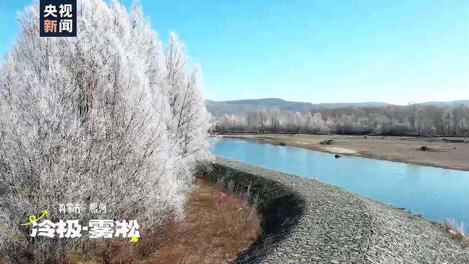 每一帧都是壁纸 “冷极”根河雾凇看这里