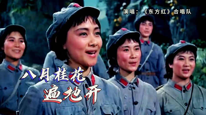 东方红插曲《八月桂花遍地开》，红色革命歌曲、经典永流传