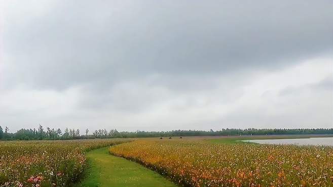 南京的后花园固城湖水慢城，不仅风景秀美，还有一座湿地动物园