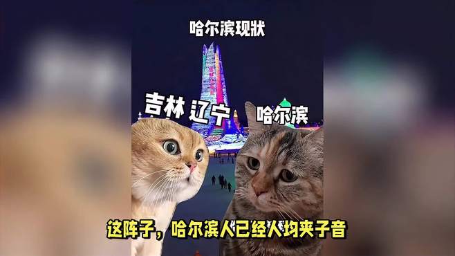 “尔滨，你让我感到陌生……”是什么梗？