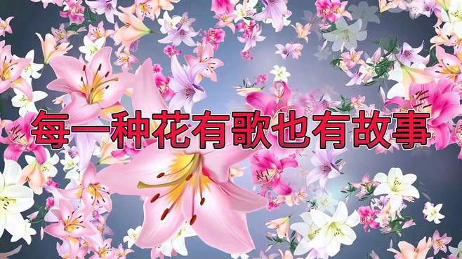 一首草原民歌、新歌、热歌《微藤花》翻唱：孤鹰之声