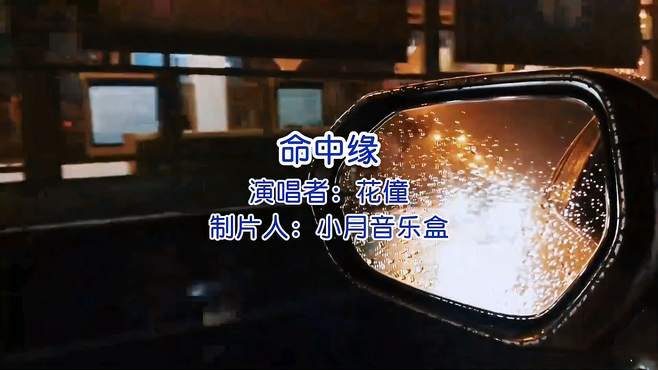 花僮《命中缘》经典流行歌曲