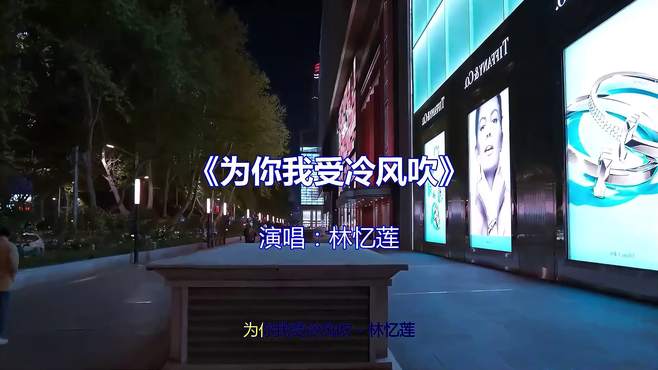 林忆莲《为你我受冷风吹》娓娓道来的每一句歌词都在诉说思念~