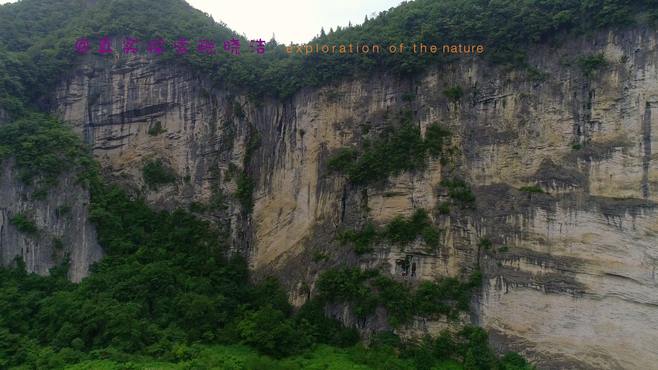 找天坑153 鹤峰燕子乡大天坑，雨雾初探 湖北恩施州