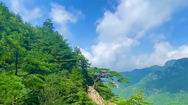 河南栾川这个小众景区，曾耗费40亿打造，现门票免费，鲜为人知