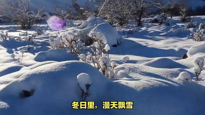 冬日冰雪漫游季：北方雪景的魅力与探索