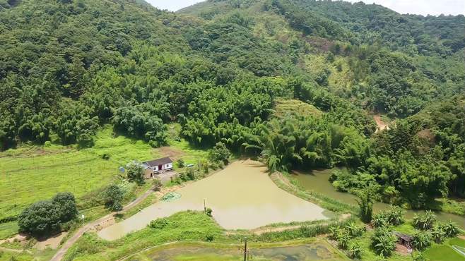 深山独居一人家，养鸡养鱼生活真美好！