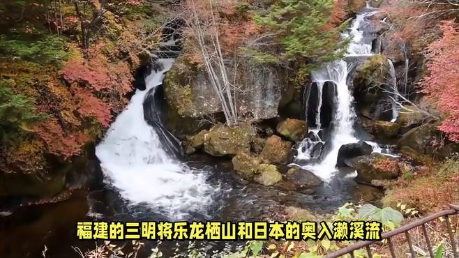 三明将乐龙栖山与奥入濑溪流：哪个更原始神秘？