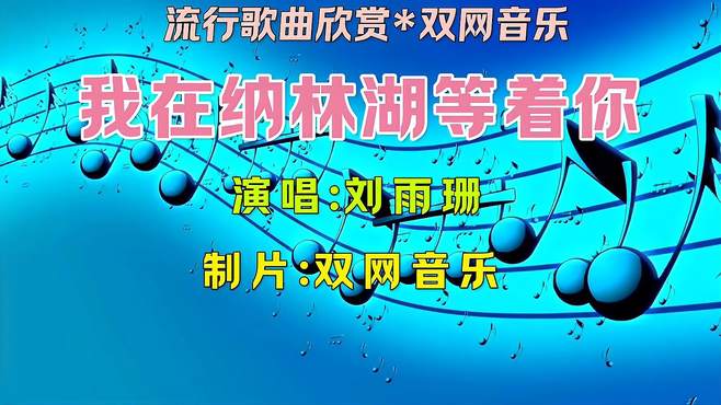 刘雨珊《我在纳林湖等着你》双网音乐非常好听的歌曲