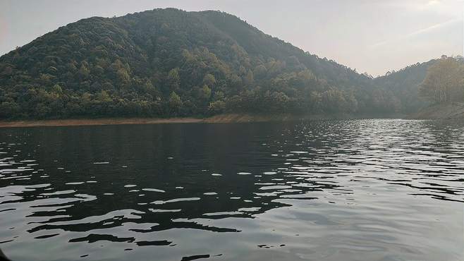 中国浙江千岛湖水质太清了环境太美了！