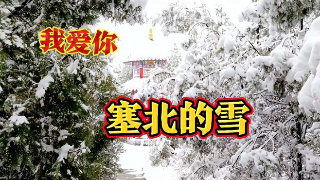 慈善家郭战解拍于河南省洛宁县凤翼山国家森林公园-塞北的雪！