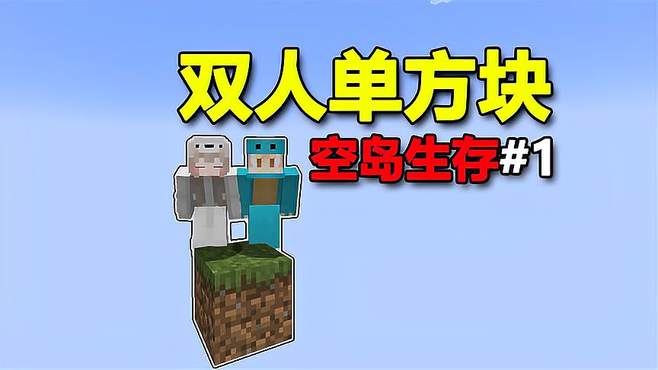 双人单方块空岛生存：MC萌新麦子与小说的奇幻冒险！