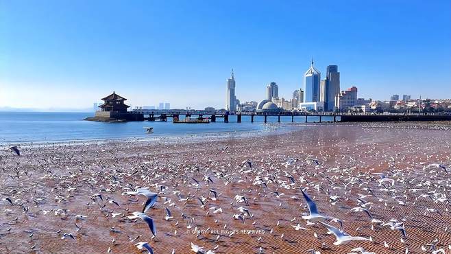 东莞西平广之旅旅行社山东北旅游