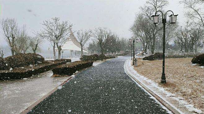 大雪纷飞的蓬莱平山河湿地公园，让我感受到了冬日的寒冷