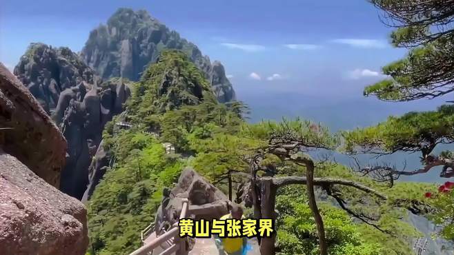 中国旅游城市对比：黄山VS张家界，到底哪个更值得去玩？