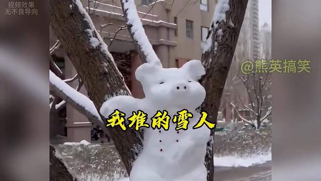 南方下雪了，来看看堆的雪人