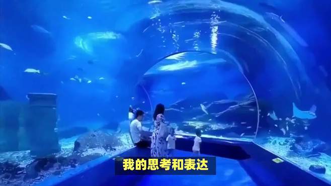 海昌海洋公园亲子游攻略，海昌海洋公园亲子游指南