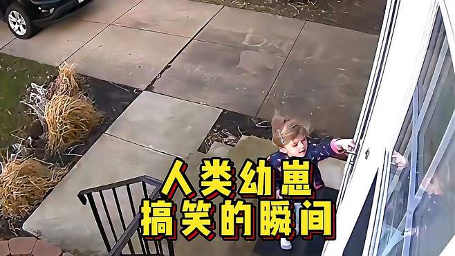 盘点人类幼崽的倒霉瞬间，原谅我不厚道地笑了