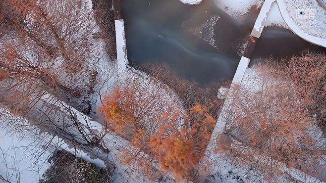 落雪漫漫，岁月慢慢。今日的世博园，送你一封来自冬日的“情书”。#最美中国