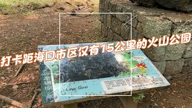 这里是距海口市区仅有15公里的火山公园