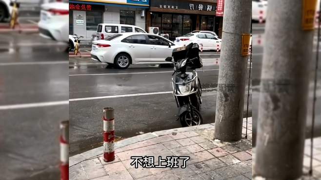 车：不想上班了，好烦呐