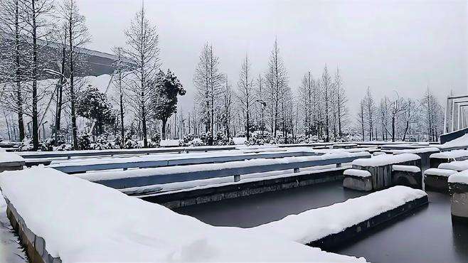 东湖公园的雪，晶莹剔透，是那么的白，那么的纯洁，是高山上的雪