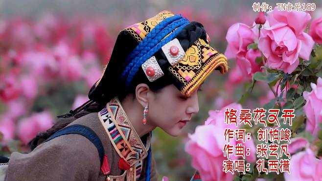 高原藏歌：格桑花又开（扎西措）一朵花是一句话思念开不败，动听