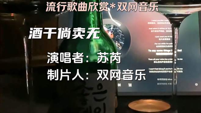 苏芮《酒干倘卖无》双网音乐非常好听的歌曲