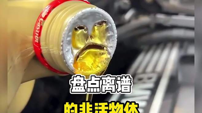 非活体成精的离谱瞬间一个比一个离谱