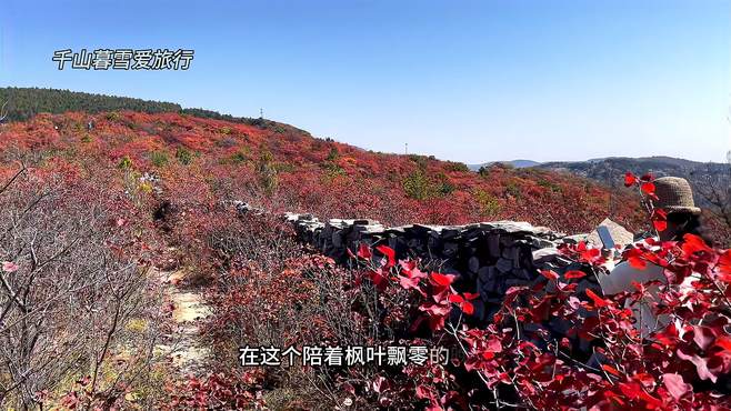 最美是红叶，层林染尽，满山红遍，斜阳下，微风徐徐，居高眺望