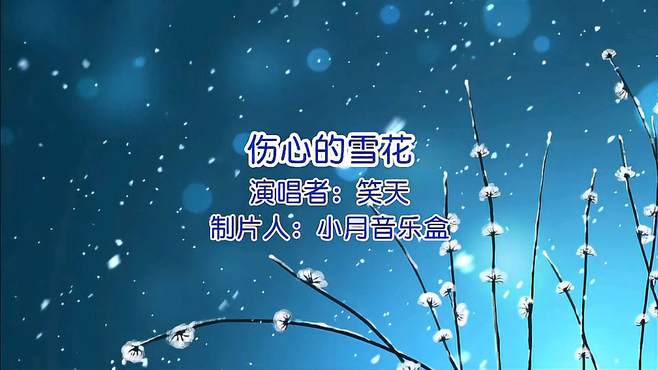 笑天《伤心的雪花》经典流行歌曲